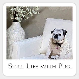 Still Life with Pug Magnet